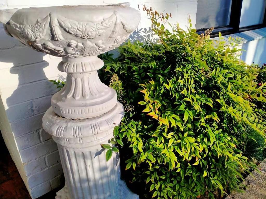 Quiet Burrow In Mornington Center Villa ภายนอก รูปภาพ